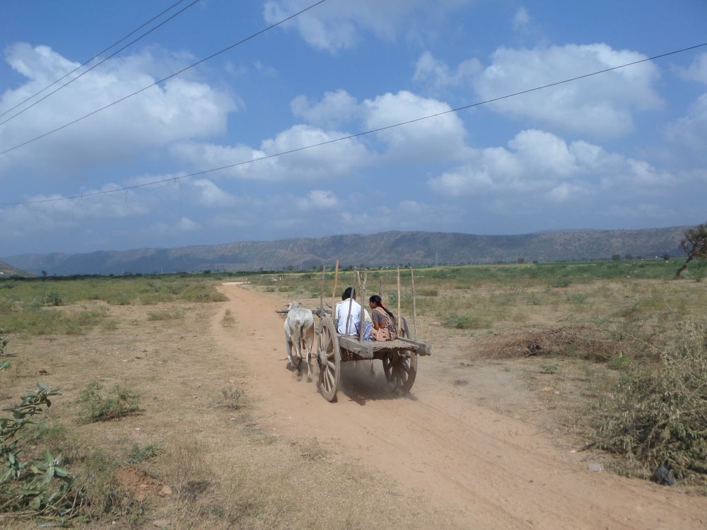 Two people on cart on low-volume road
