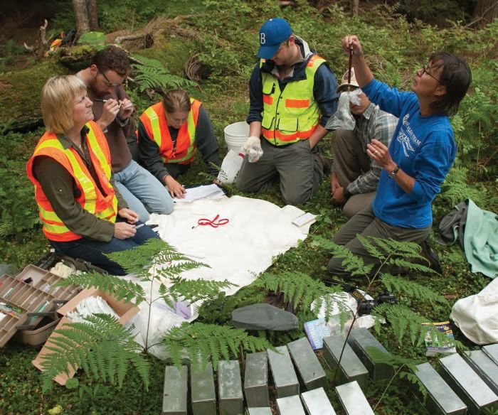 A group of researchers, some in safety vests, sit in a forest with field supplies and metal traps. One person holds a small animal in a clear plastic bag on a scale.