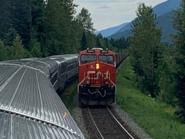 Two trains travel through a forested mountain area, with one train facing forward and another train partially visible nearby.