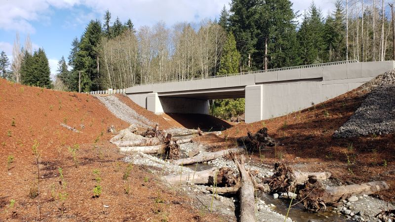 A creek flanked by raised, stony embankments flows under the much wider passage of a new concrete bridge. Logs cross the brook in a ladderlike pattern, with stones and bare ground nearby and trees in the background.