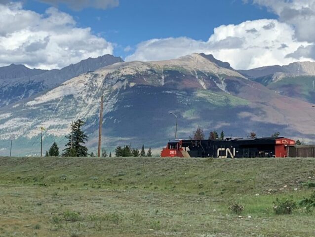 A freight train sits in an open grassy area with mountains, trees, and clouds behind it.