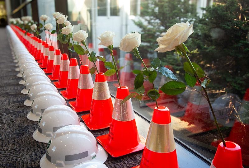 A line of bright traffic cones, each holding a single white rose with a long stem and standing behind a white hard hat, stretch into the distance along a windowed wall.